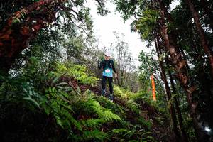 BIB: 
                            <button type="button" onclick="openModal(26205266)" class="btn btn-primary btn-sm float-right btn-popup" data-toggle="modal" data-target=".modal-high-quality">
                        <i class="fas fa-shopping-cart"></i> Add to Cart
                    </button>
                                            <button type="button" onclick="isThisMe(26205266, true)" class="btn btn-success btn-sm float-right btn-popup btn-isme hidden" data-toggle="tooltip" data-placement="bottom" title="นี่คือรูปของคุณใช่ไหม คลิกที่นี่เพื่อเอาเข้าอัลบั้ม">
                        <i class="fas fa-plus"></i> Add to album
                    </button>
                    <button type="button" onclick="isThisMe(26205266, false)" class="btn btn-warning btn-sm float-right btn-popup btn-isnotme hidden">
                        <i class="fas fa-ban"></i> Remove from album
                    </button>